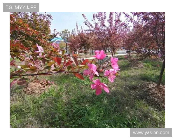 镜头内外并肩起跑微博战队赛场精神定妆启新征程竞技梦想正当时 镜头内外并肩起跑微博战队赛场精神定妆启新征程竞技梦想正当时