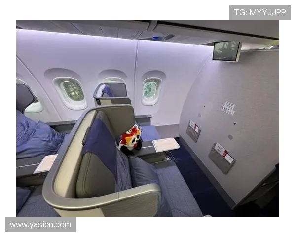 飞机客舱内饰材料的环保等级